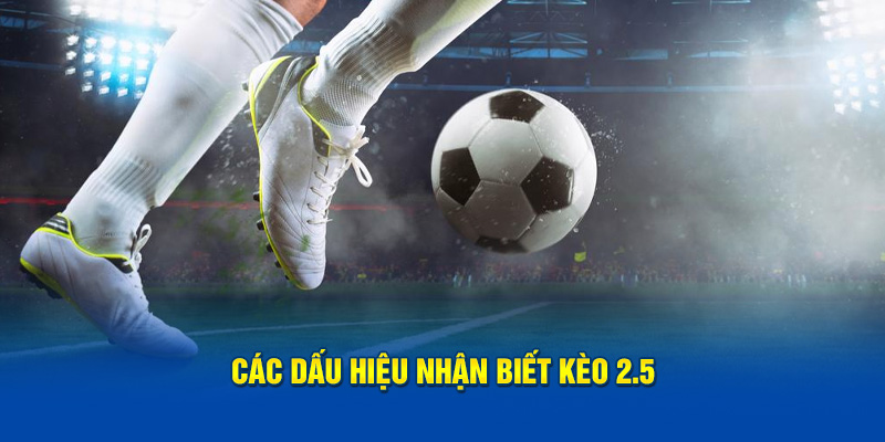 Các dấu hiệu nhận biết kèo 2.5